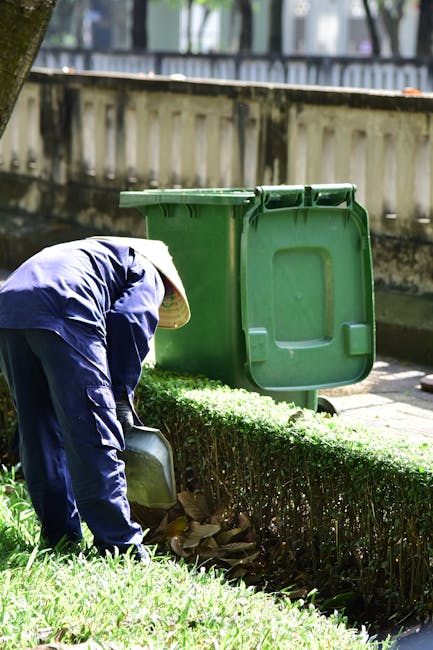 A person wearing a navy blue uniform and a straw hat is engaged in trimming and maintaining a neatly shaped hedge along a paved walkway. The individual is bent over, using garden tools to carefully prune the top of the shrub, which has dense, vibrant green foliage. Behind the person, there is an open large green plastic waste bin positioned on the pavement near a low, weathered stone wall with vertical slats, possibly part of a garden or park boundary. The background shows a row of trees with slender trunks and a blurred section of the surrounding environment, suggesting an outdoor setting during daylight hours with natural lighting. The scene reflects a typical garden maintenance activity in an urban or residential area where waste from gardening is temporarily collected in the bin, indicating an effort towards private waste handling or site clearance, supported by service providers like Rubbish Clearance Pimlico.
