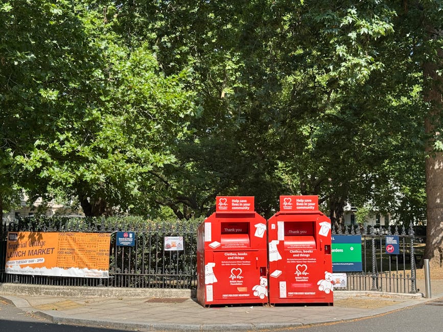A red double-decker bus, numbered 24, is traveling along a city street in front of ornate, multi-story white Victorian buildings with detailed architectural features and bay windows. The bus displays the destination 'Pimlico' on its front electronic sign. To the right of the bus, a black lamppost with a decorative base stands near the curb, and a Union Jack flag is visible attached to a pole nearby. The street surface features a pedestrian crossing with white striped markings. In the background, a construction crane is partially visible, indicating ongoing development in the urban area. The scene is illuminated by natural, overcast light, creating a neutral tone typical of a city environment in late autumn or winter. The setting highlights elements of private and alternative public transport options within central London, supporting the context of independent transportation and waste management services nearby, suggested by the proximity of Rubbish Clearance Pimlico activity on similar urban streets.